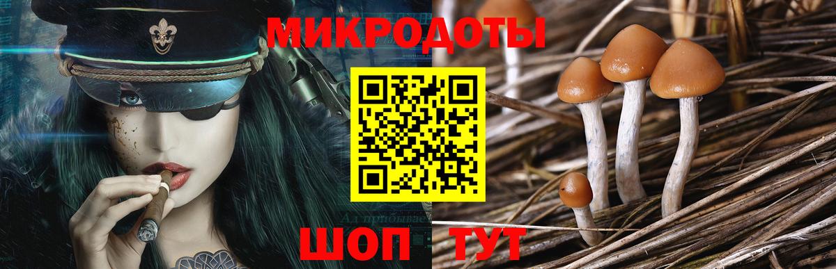Псилоцибиновые грибы Cubensis Углич