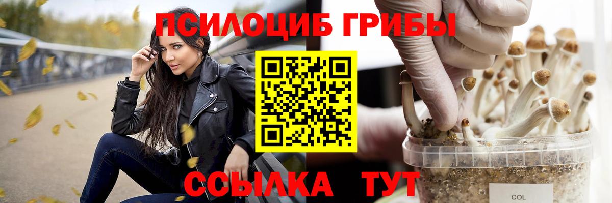 Углич  Псилоцибиновые грибы MAGIC MUSHROOMS  Галлюциногенные грибы мухоморы  закладка  Вход с VPN 